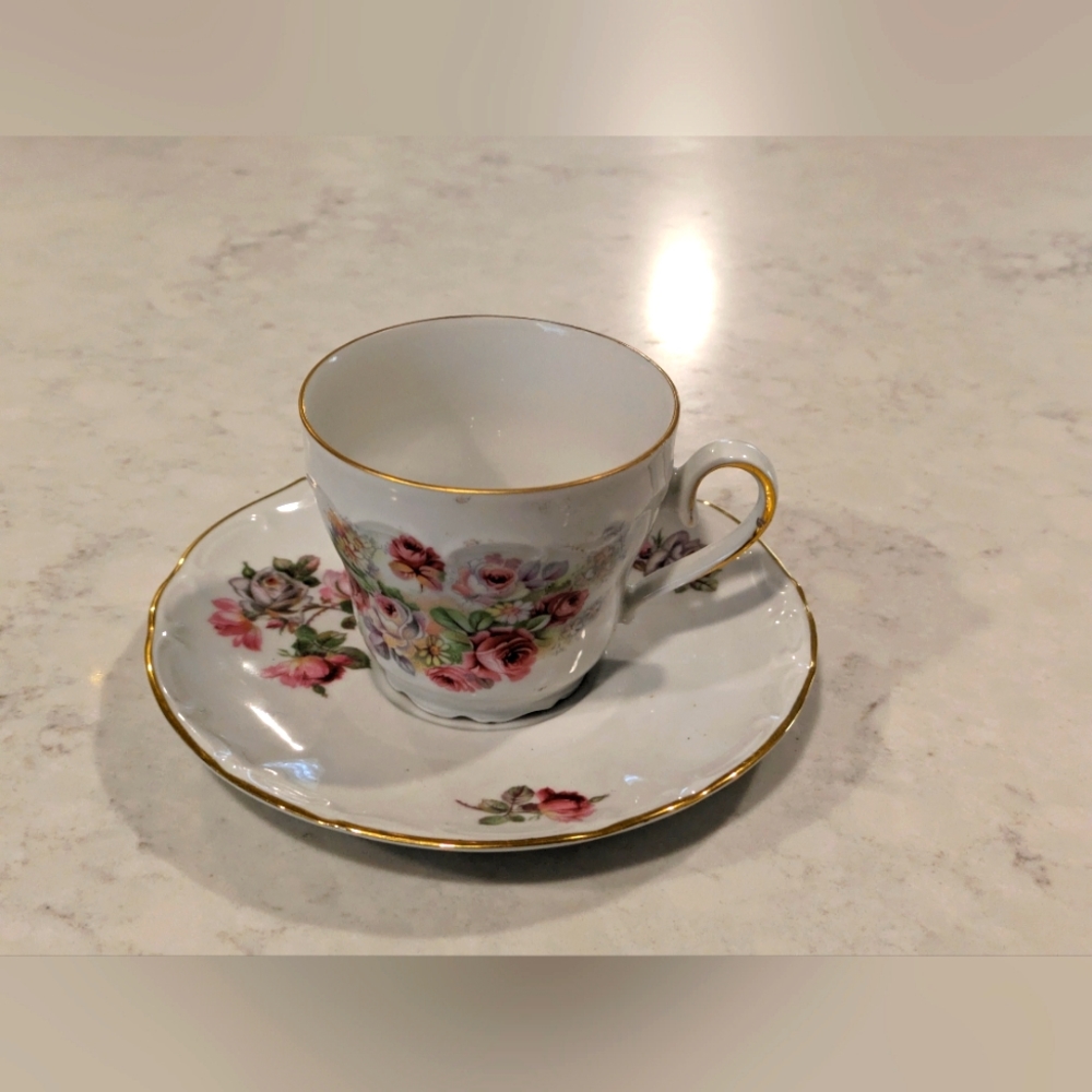 Bareuther Waldsassen Bavaria Germany Teacup and Saucer Excellent Condition